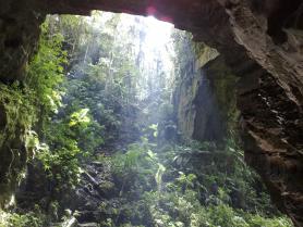 Cave of the Guacharos